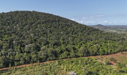 Au Kenya, la justice examine un recours contre l&rsquo;exploitation de Mrima Hill liée à un accord avec les États‑Unis