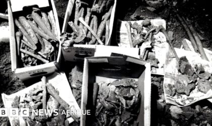 Sous une maison de Rio, elle découvre le cimetière oublié de 40 000 personnes réduites en esclavage