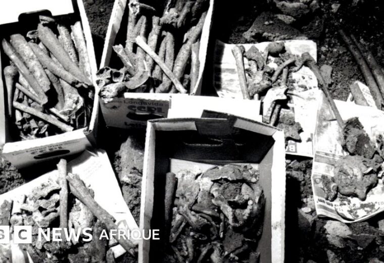 Sous une maison de Rio, elle découvre le cimetière oublié de 40 000 personnes réduites en esclavage