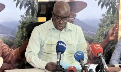 Cacao en Côte d’Ivoire : l’OIA fait le point face à la baisse des prix