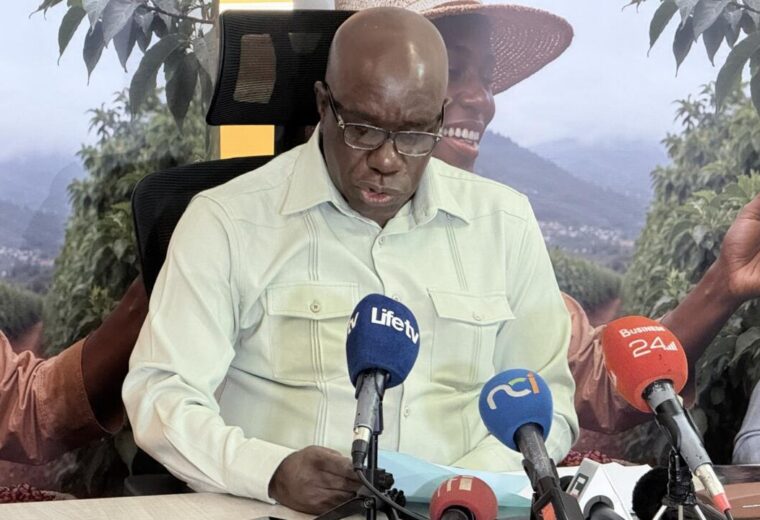 Cacao en Côte d’Ivoire : l’OIA fait le point face à la baisse des prix