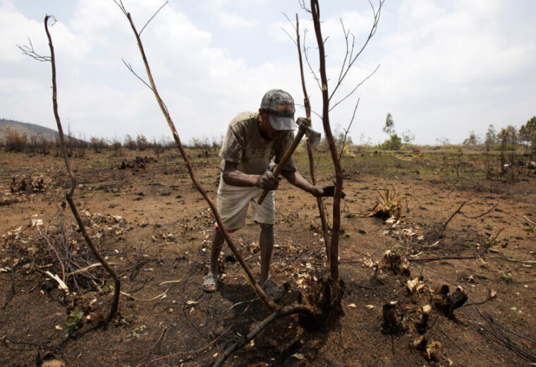 Madagascar: des ONG de défense de l&rsquo;environnement tirent la sonnette d&rsquo;alarme face aux incendies et aux trafics