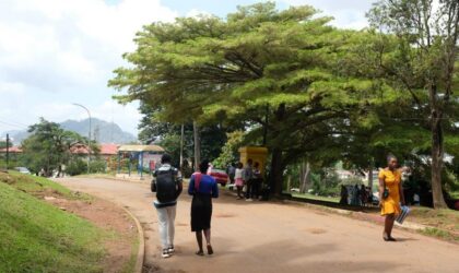 Cameroun: des enseignants du supérieur maintiennent leur grève, onze universités d’État restent impactées