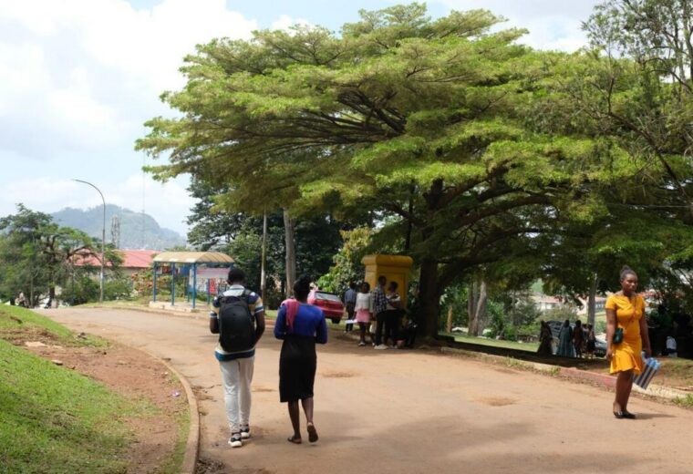 Cameroun: des enseignants du supérieur maintiennent leur grève, onze universités d’État restent impactées