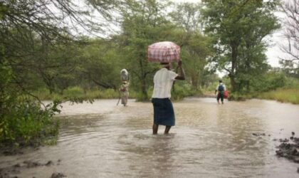 Kédougou : Le débordement du Diarawol ravage les champs de maïs et d&rsquo;arachide à Salémata