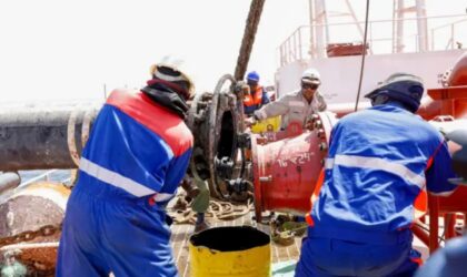 Pétrole et gaz : comment l’État perd 600 à 1 000 milliards F CFA par an à cause d’un…