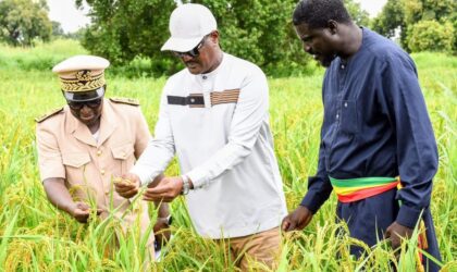 À Louga, Cheikhou Oumar Ba plaide pour structurer les filières niébé et arachide