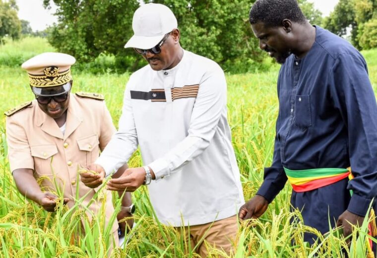 À Louga, Cheikhou Oumar Ba plaide pour structurer les filières niébé et arachide