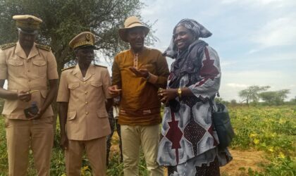 À Linguère, les productrices de niébé réclament semoirs et engrais organiques
