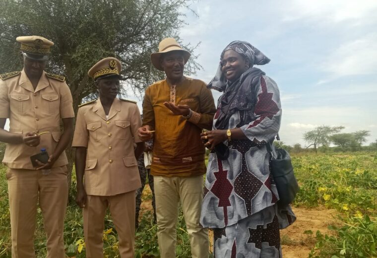 À Linguère, les productrices de niébé réclament semoirs et engrais organiques
