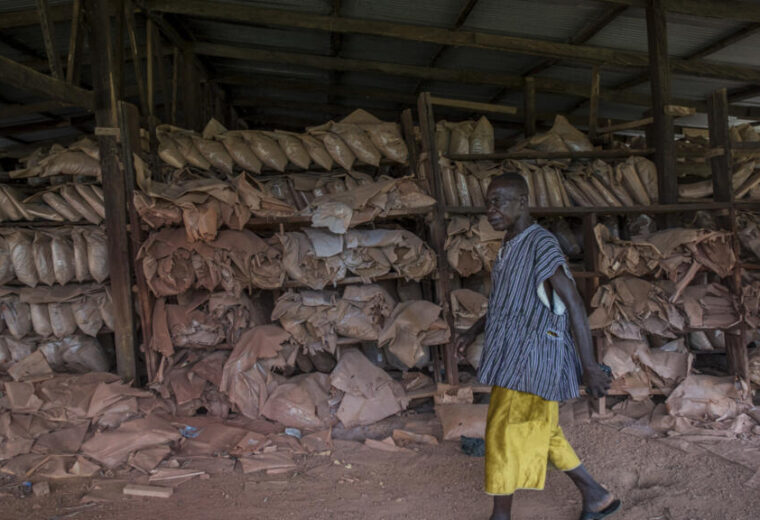 Le Ghana veut interdire les exportations de matières premières d’ici à 2030