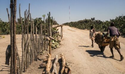 Madagascar se prépare à traverser un épisode d&rsquo;El Niño particulièrement fort