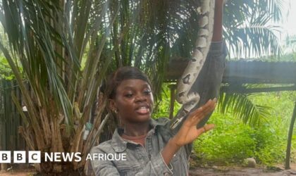 La femme qui sauve les serpents des mains des humains
