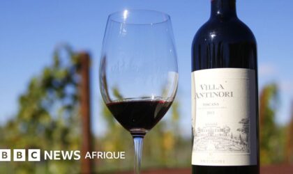 Des voleurs ont dérobé 30 000 bouteilles de vin d&rsquo;une valeur de 5 millions d&rsquo;euros en Italie, selon les médias locaux