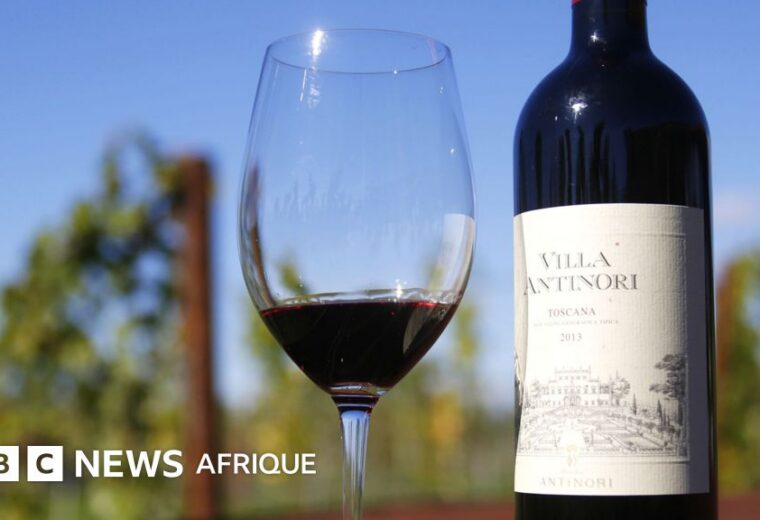 Des voleurs ont dérobé 30 000 bouteilles de vin d&rsquo;une valeur de 5 millions d&rsquo;euros en Italie, selon les médias locaux