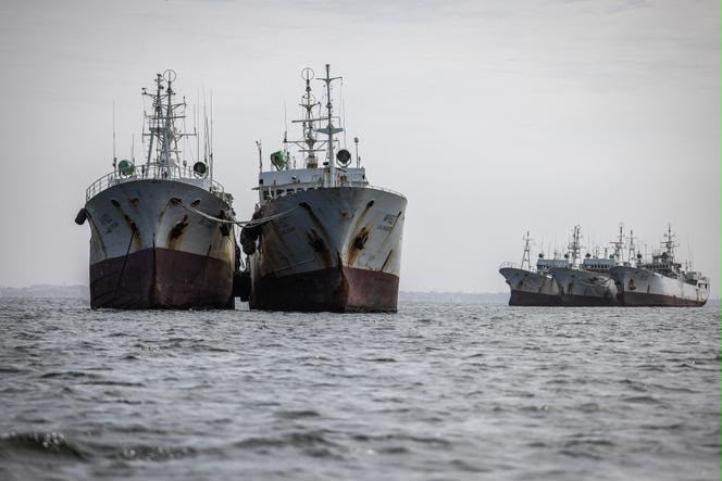 Au Sénégal, 41 des 52 nouveaux chalutiers licenciés sont autorisés en pêche profonde