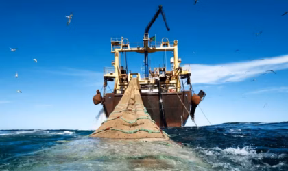 271 navires immatriculés au Sénégal, dont 187 affectés à la pêche et à l’industrie