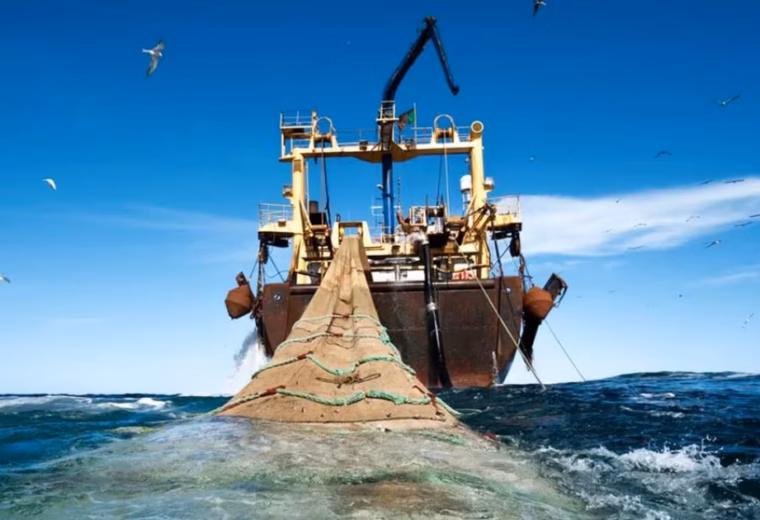 271 navires immatriculés au Sénégal, dont 187 affectés à la pêche et à l’industrie