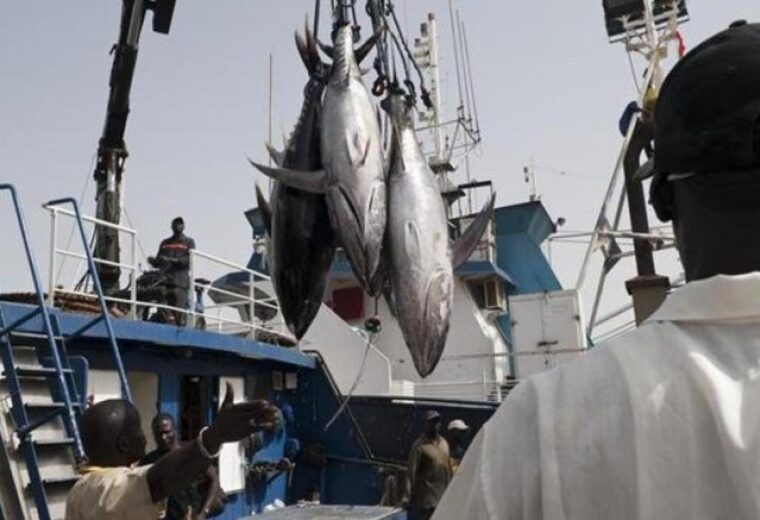 Licences de pêche : les auditions démarrent aujourd’hui, quatre responsables convoqués