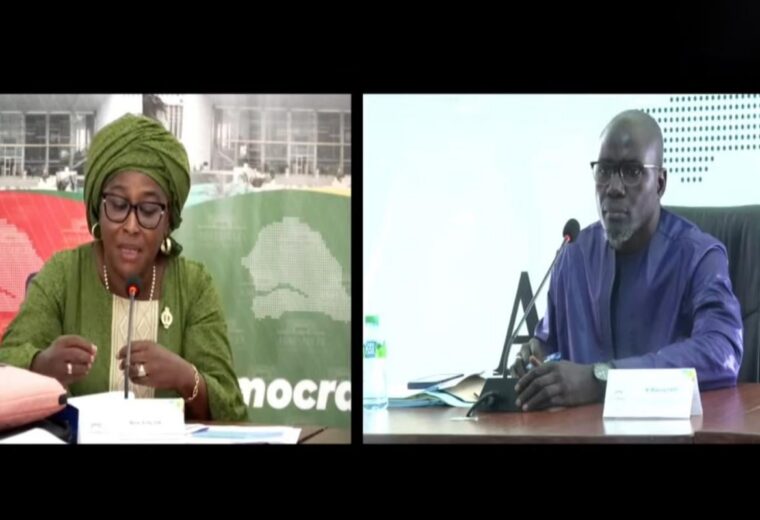 Wolof vs Français à l&rsquo;Assemblée : Le Directeur des Grandes Entreprises recadre la députée Anta Dia