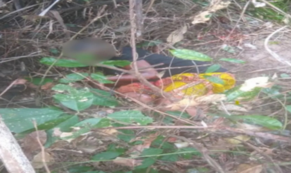 Ghana : Une femme enceinte abattue après avoir été prise pour un animal