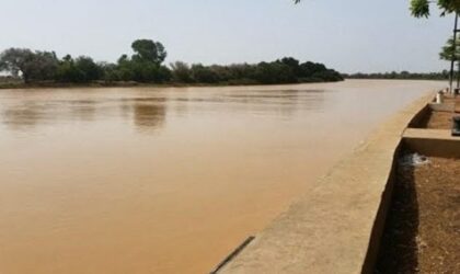 Crue du fleuve : Podor et Richard-Toll sur une pointe sensible