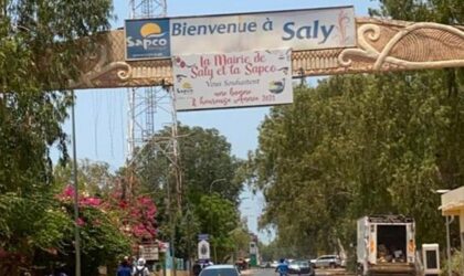 Saly, Ngaparou et La Somone : Les animaux errants mis en fourrière à partir du 31 octobre